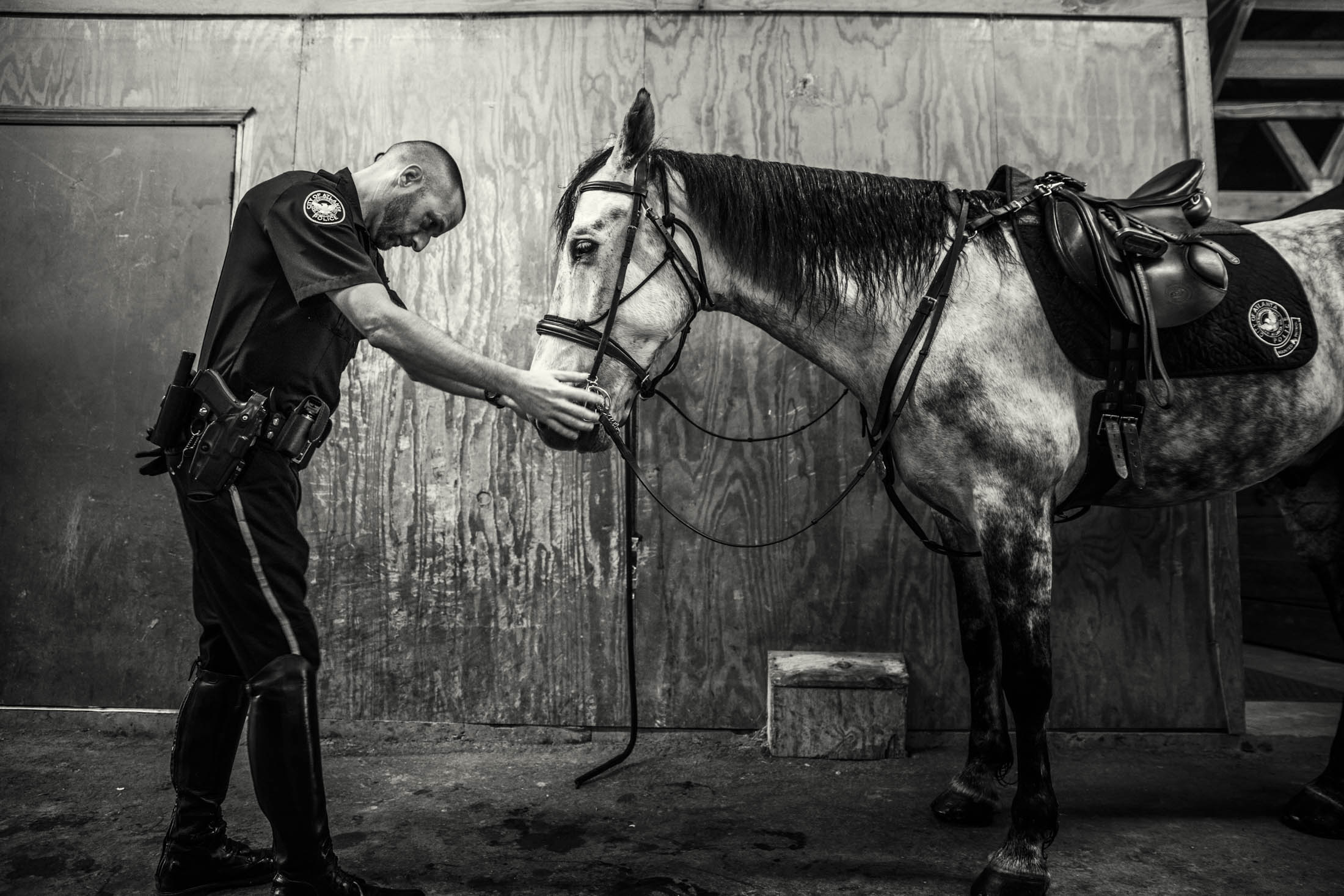 APD_Mounted_00003